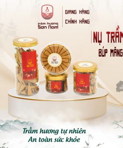 nụ trầm hương búp măng